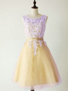 On Sale Gold Lace Up Scoop Lace Court Dresses for Sweet 16 Tulle Sleeveless