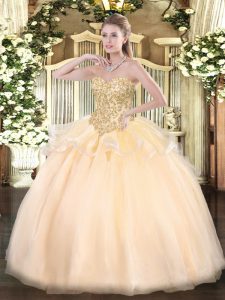 Champagne Organza Lace Up 15th Birthday Dress Sleeveless Floor Length Appliques