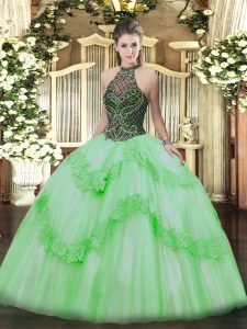 Luxury Sleeveless Floor Length Beading and Appliques Lace Up Quinceanera Dresses