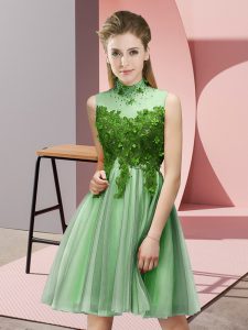 High-neck Sleeveless Lace Up Dama Dress Apple Green Tulle