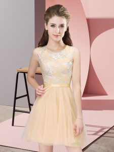 Fitting Sleeveless Lace Side Zipper Dama Dress