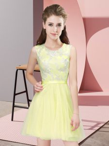 Sleeveless Lace Side Zipper Dama Dress for Quinceanera