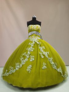Appliques Quinceanera Dress Olive Green Lace Up Sleeveless Floor Length