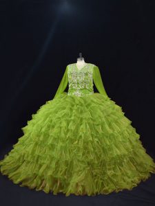 Glamorous V-neck Long Sleeves Lace Up 15 Quinceanera Dress Olive Green Organza