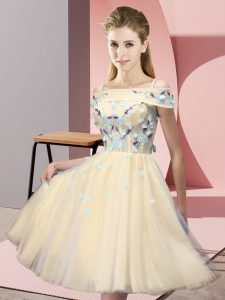 Noble Short Sleeves Tulle Knee Length Lace Up Dama Dress in Gold with Appliques