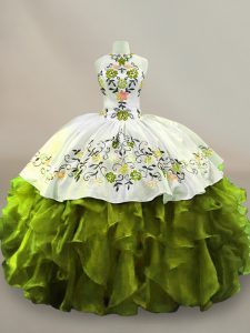 Amazing Olive Green Side Zipper Quinceanera Dresses Embroidery and Ruffles Sleeveless Floor Length