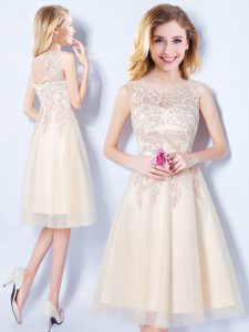 Luxurious Scoop Sleeveless Knee Length Appliques Lace Up Vestidos de Damas with Champagne