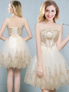 Scoop Champagne Lace Up Quinceanera Court Dresses Appliques Sleeveless Mini Length