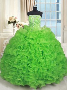 Strapless Sleeveless Lace Up 15 Quinceanera Dress Organza