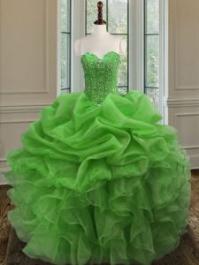 Hot Selling Floor Length Ball Gowns Sleeveless Quince Ball Gowns Lace Up