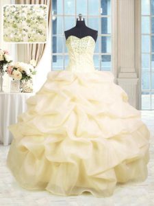 Luxurious Champagne Sleeveless Beading and Ruffles Floor Length Quinceanera Gowns