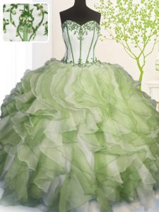 Great Sweetheart Sleeveless Ball Gown Prom Dress Floor Length Beading and Ruffles Multi-color Organza