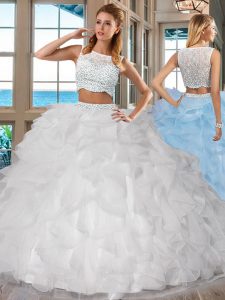 Fitting Organza Sleeveless Floor Length Sweet 16 Dresses and Beading and Ruffles
