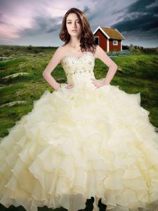 Gorgeous Organza Sleeveless Floor Length Quince Ball Gowns and Beading and Ruffled Layers